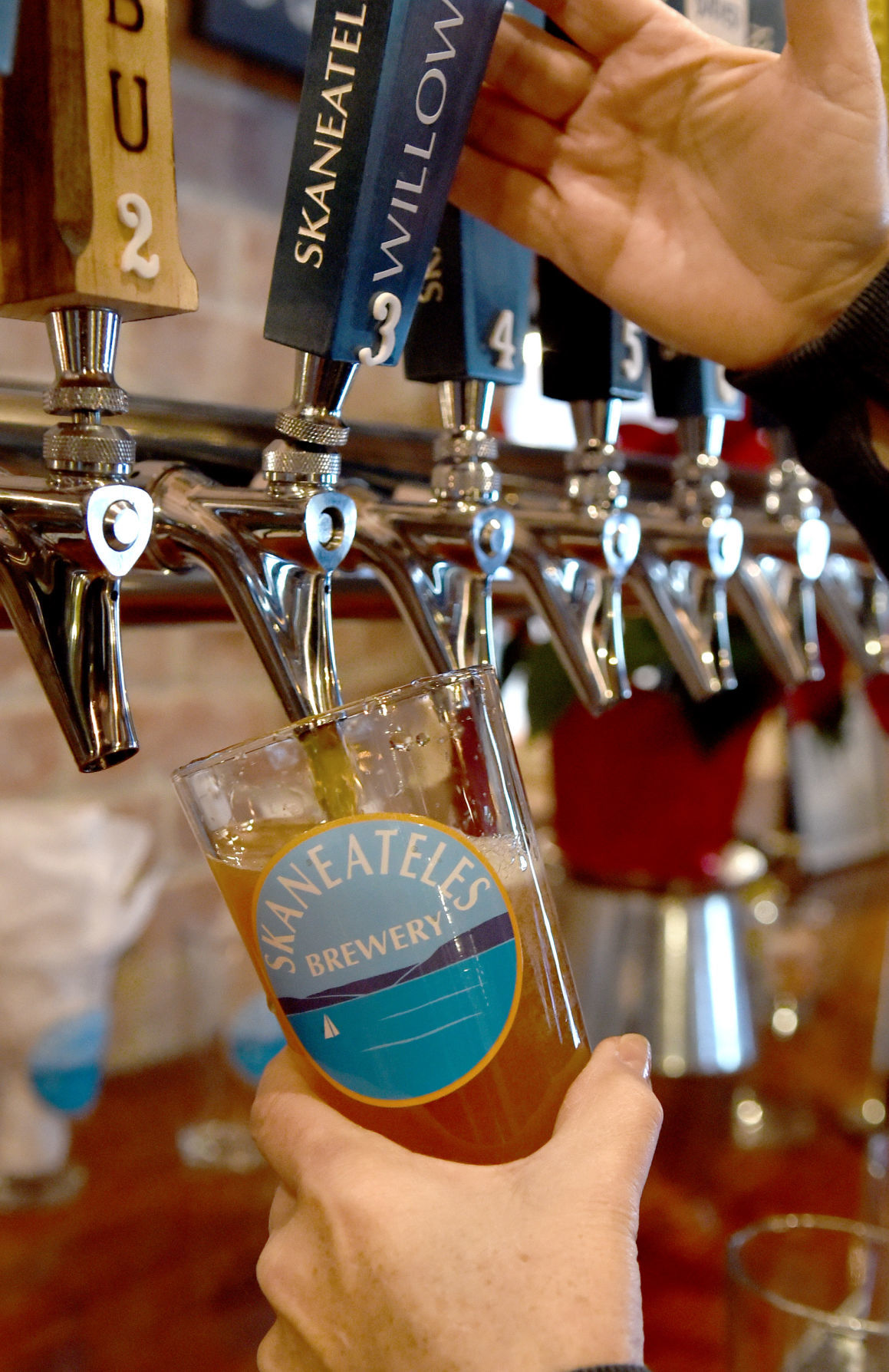 Skaneateles Brewery 2
